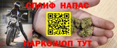 сатива Малгобек