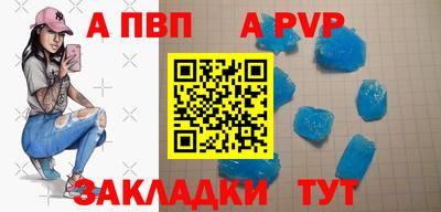 сатива Малгобек