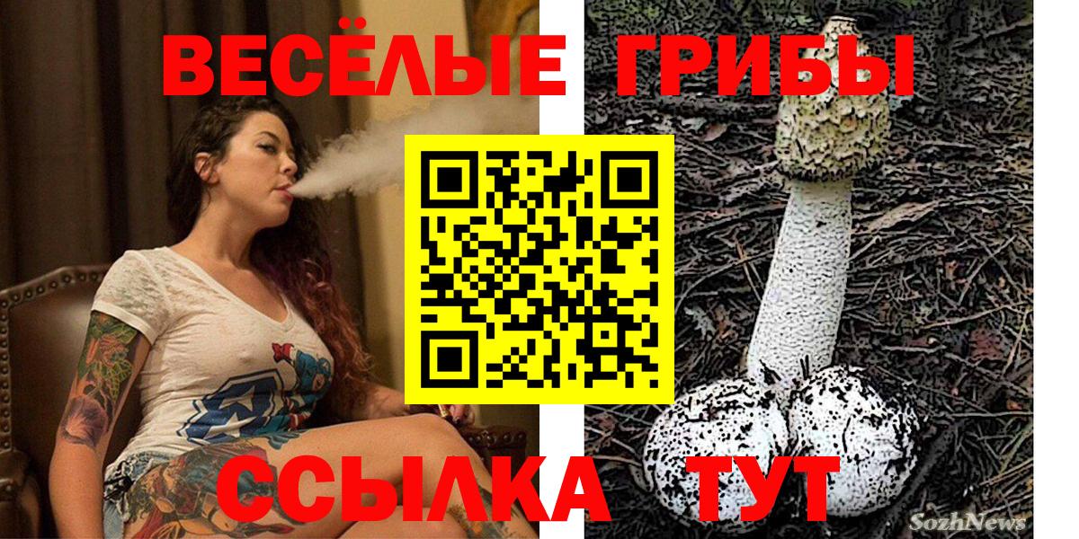 Псилоцибиновые грибы Cubensis  Вход с VPN  Псилоцибиновые грибы GOLDEN TEACHER  Великий Новгород 