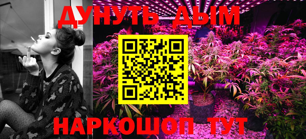 Канабис тримм  Вход с VPN  Конопля сатива  Каннабис THC 21%  Великий Новгород 